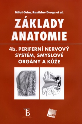 Základy anatomie 4b. Periferní nervový systém