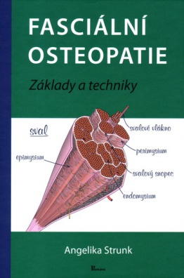 Fasciální osteopatie - základy a techniky
