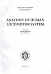 Anatomy of human locomotor system