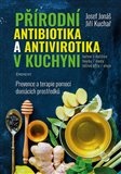 Přírodní antibiotika a antivirotika v kuchyni. Prevence a terapie pomocí domácích prostředků